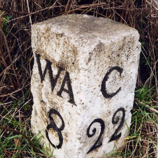 Helme Park, Fir Tree