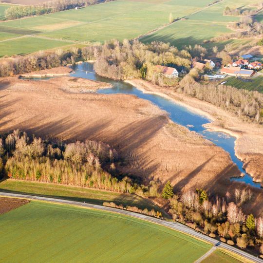 Vogelfreistätte Lindenweiher