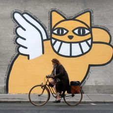 Thoma Vuille alias Monsieur Chat