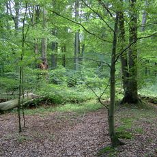 Rezerwat przyrody Glinki (województwo zachodniopomorskie)