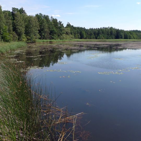 Hradčanské rybníky