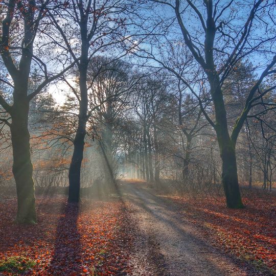 Boswachterij Amerongen