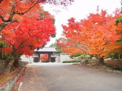 Entrance 1