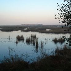 Lake Efteni