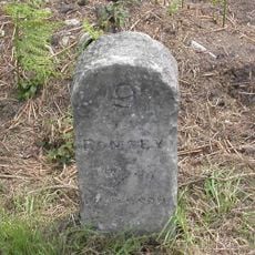 Milestone, Stoney Cross; 50m W of junction of A31 with New Town Road