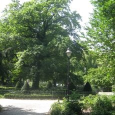 Platzanlage Theodor-Körner-Platz