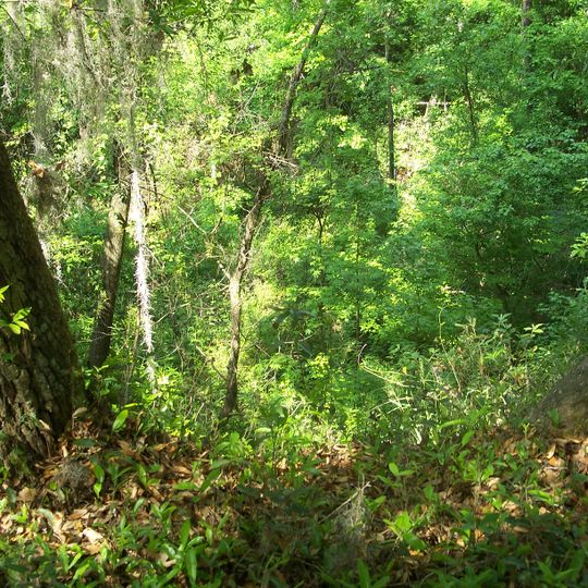 Mike Roess Gold Head Branch State Park