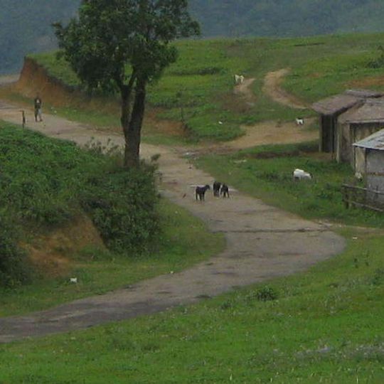 Dima Hasao