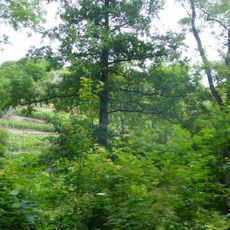 Lößnitzgrund und Lößnitzhänge