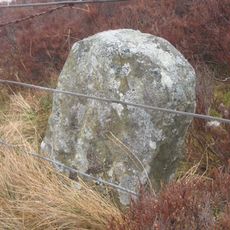 Boundary Stone On East Side Of Fence On Edge Of Rowantree Cleugh