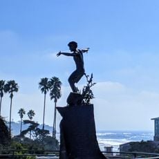 Cardiff Kook