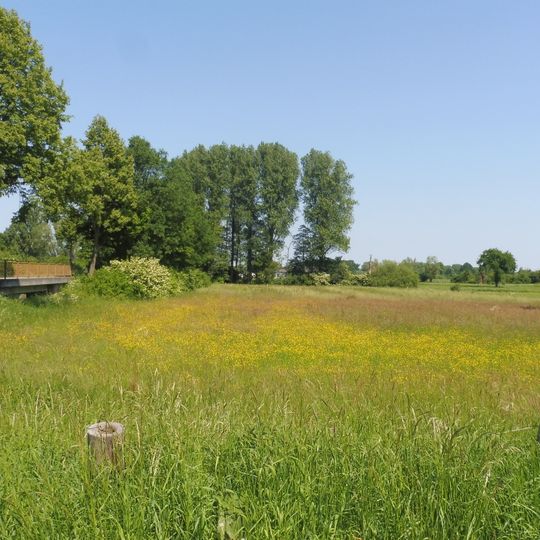 Lippeniederung IV – Barbruch