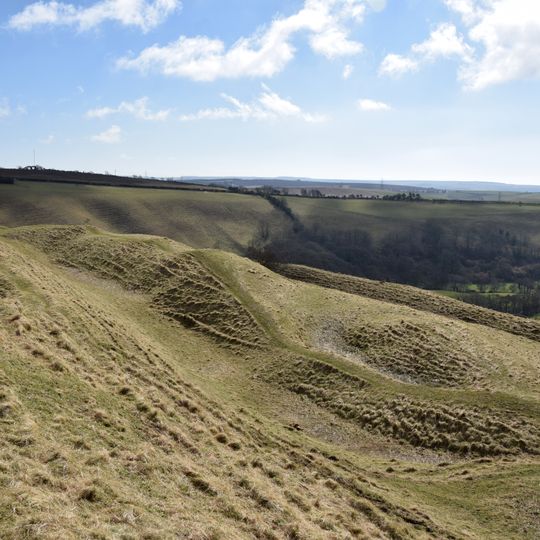 Large multivallate hillfort containing two bowl barrows 855m north east of North Eggardon Farm
