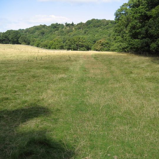 Shipley and Great Woods