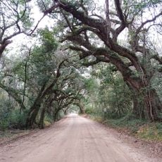 Botany Bay Plantation Wildlife Management Area