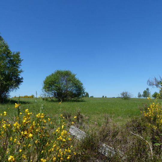 Heiden und Magerrasen bei Trupbach