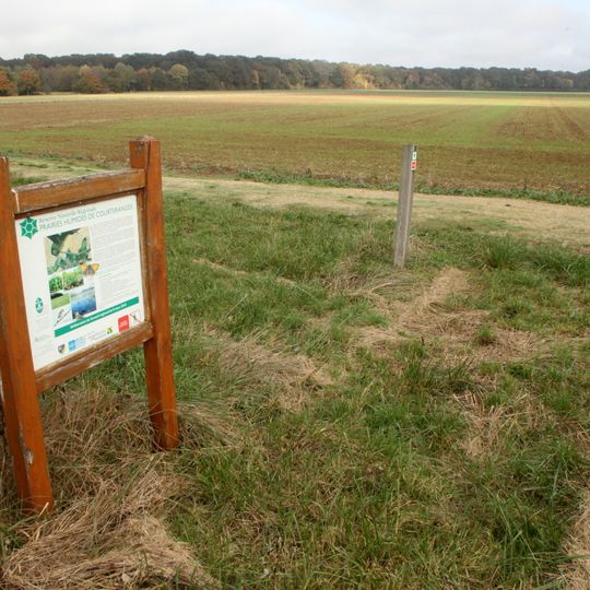 Prairies Humides De Courteranges