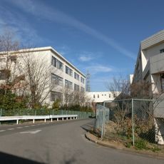 開智小學校、中學校、高等學校 (埼玉縣)