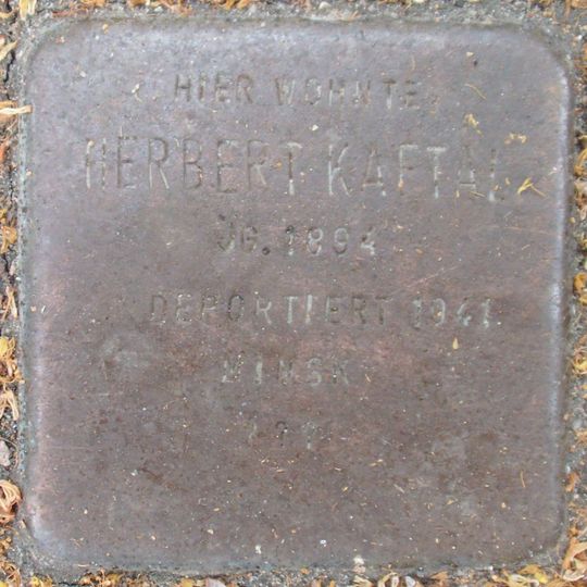 Stolperstein dedicated to Herbert Kaftal