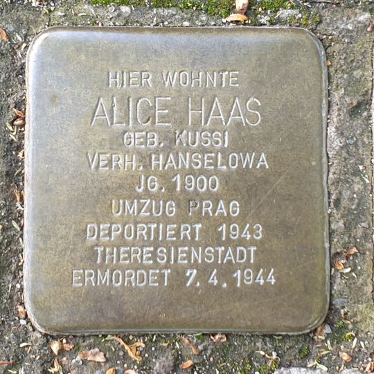Stolperstein dedicated to Rudolf  Haas