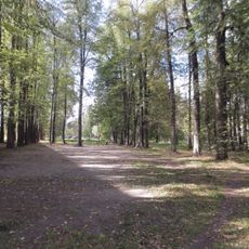 Парк (Богородское)