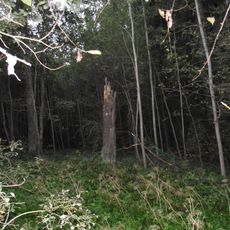 Lašku senkapi (Zviedru kapi)