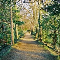 Addison's Walk