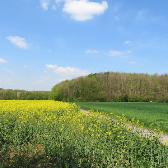 Landschaftsschutzgebiet Hassley