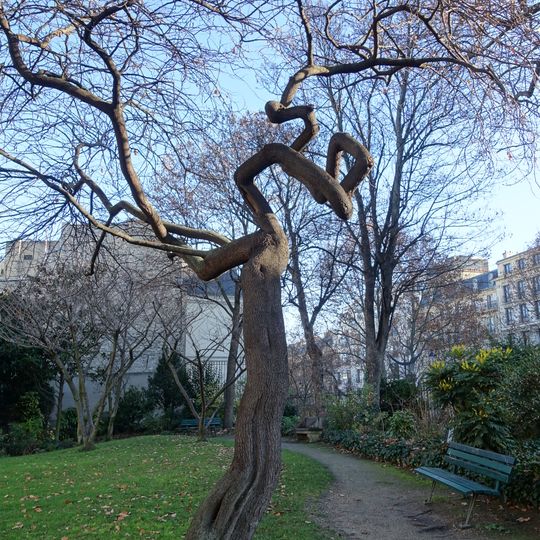 Jardin de l'Hôtel-Salomon-de-Rothschild