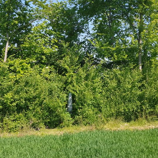 Belgium-Netherlands boundary stone no. 26