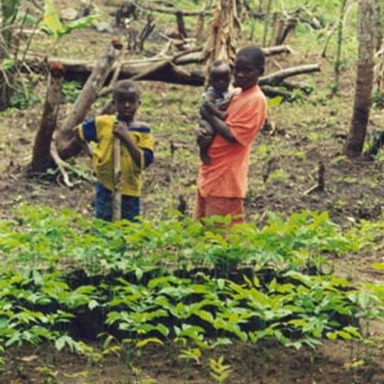 Prefettura di Guéckédou