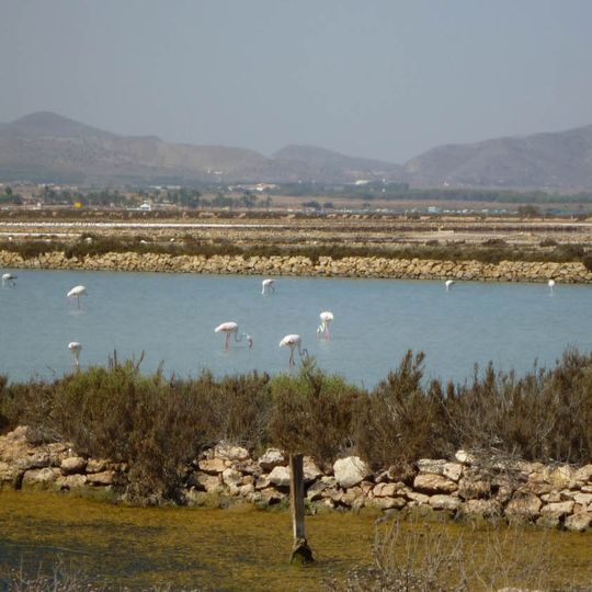 Salinas de Marchamalo y playa de Las Amoladeras