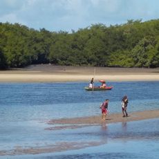 Área de Relevante Interesse Ecológica Manguezais da Foz do Rio Mamanguape