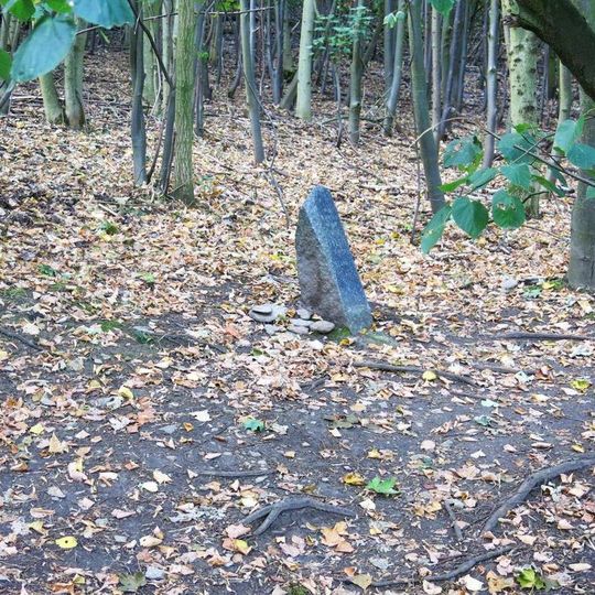 Pomník Františka Forejta u cesty na Milešovku z Černčic