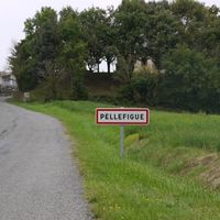 Pellefigue