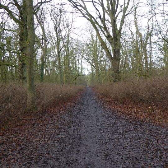 King's Wood, Corby