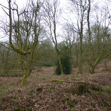 Badby Wood
