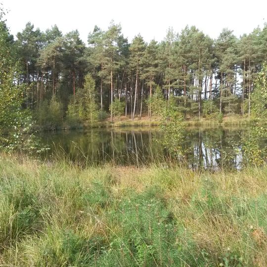 Heidemoor bei Ottermoor