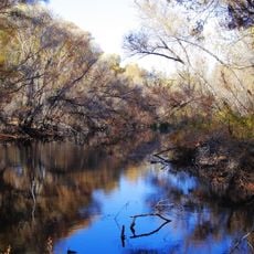 Hassayampa River Preserve
