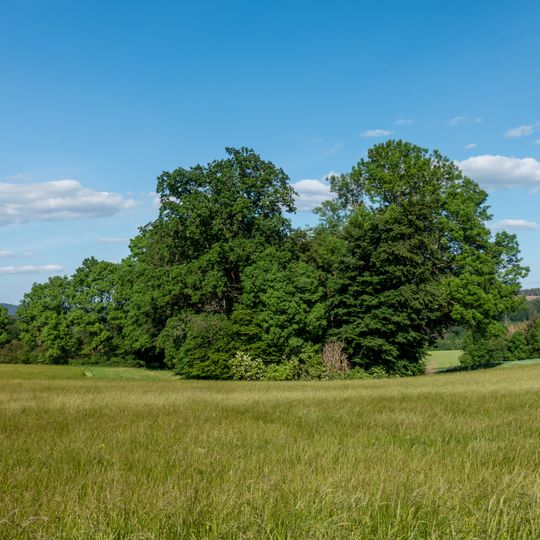 LSG-Bachtaeler westlich Biesen