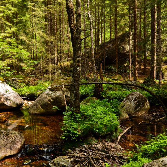 Lindalen naturreservat