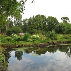 Водоём в саду (Сортавальское г.п.)