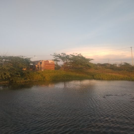 Paraguaipoa