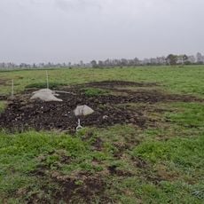 Großsteingrab im Ahlen-Falkenberger Moor