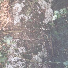 Milestone, NE of Peasmarsh