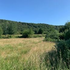 Nasswiese am Bahndamm