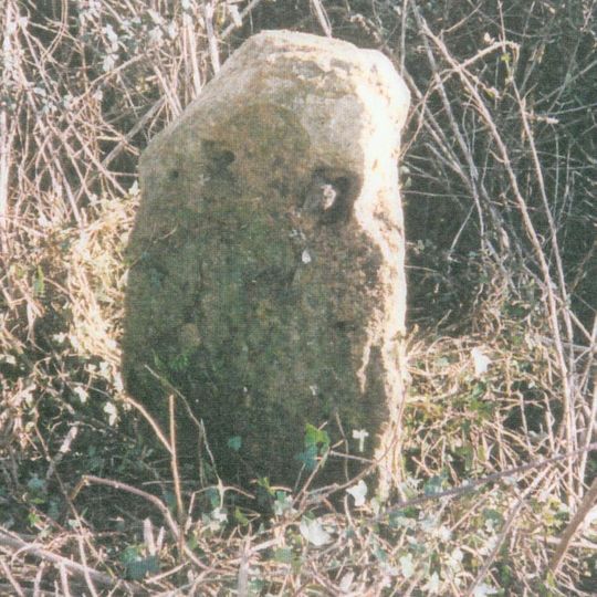 Milestone, jct with Westover Lane, nr Babcary
