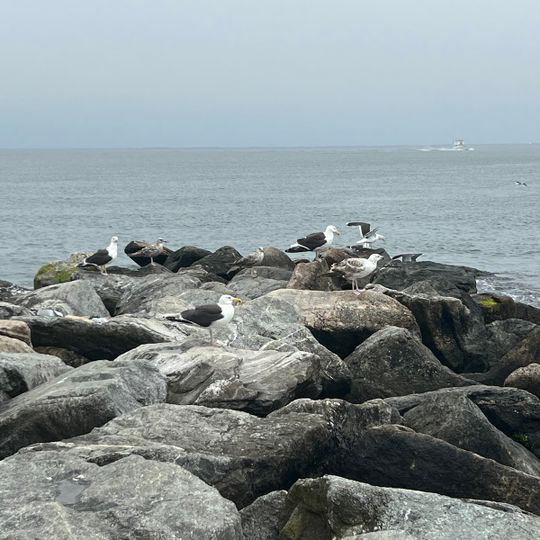 Salty Brine State Beach
