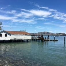 Aquatic Cove