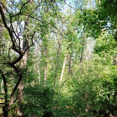Azovs'ka Dacha Nature Reserve